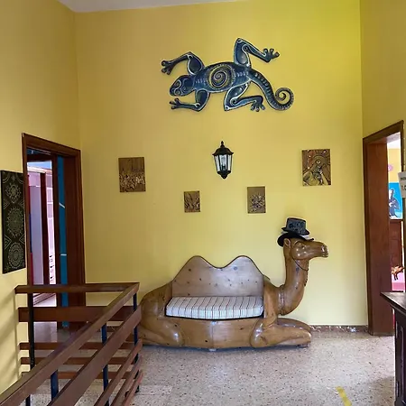 Lagarto Tenerife Pensión Valle de Guerra