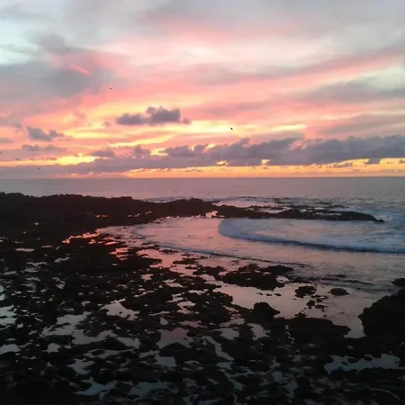 Lagarto Tenerife Pensión Valle de Guerra