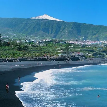 Lagarto Tenerife Pensión Valle de Guerra