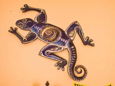 Lagarto Tenerife Pensión Valle de Guerra
