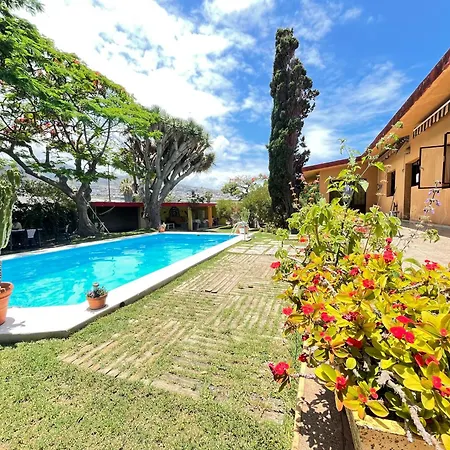 בית הארחה Lagarto Tenerife *