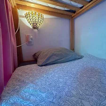 Lagarto Tenerife * Valle de Guerra